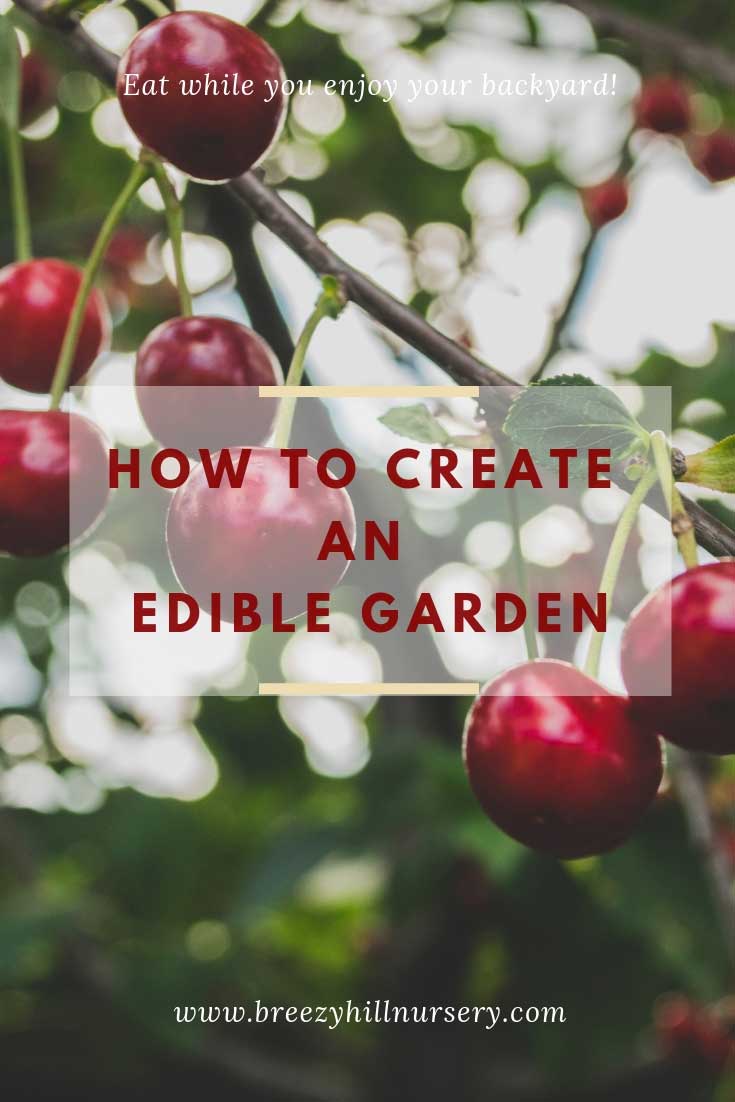 How to create an edible food forest garden - A Breezy Hill Nursery ...