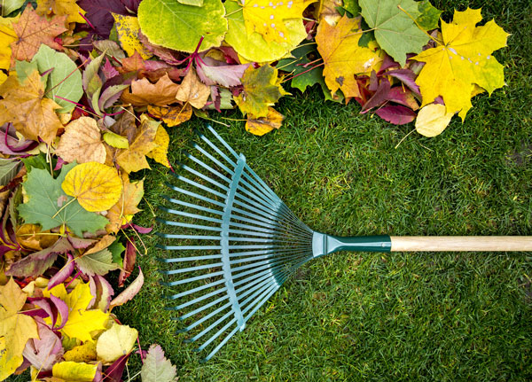 Fall Maintenance - Breezy Hill Nursery