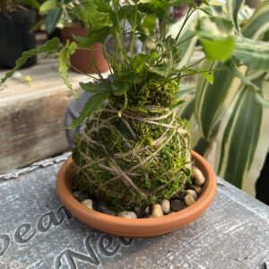 Kokedama Workshop