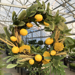 Grapevine Wreath with Lemons