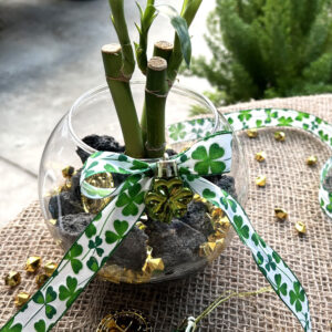 Lucky Bamboo Workshop